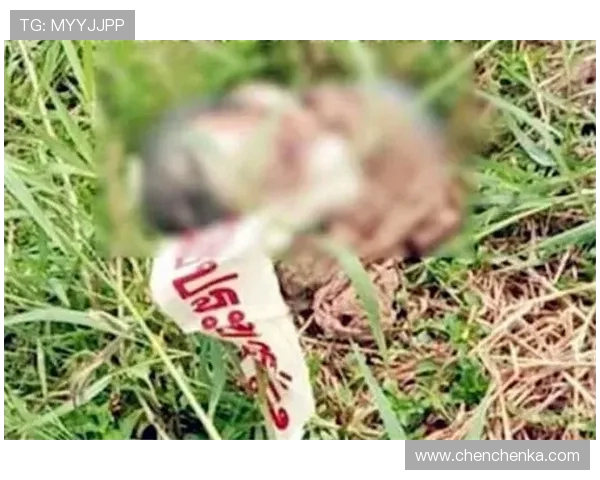 三十年悬案如马拉松拉锯赛南大碎尸成中国未解之痛加时终场哨声仍未响