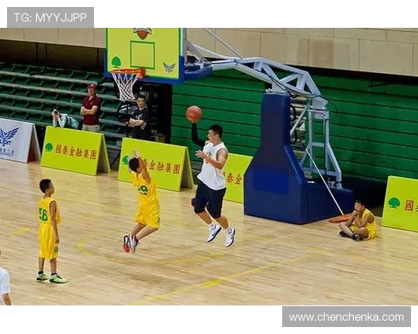 体育赛事赞助商权益保护实务谈